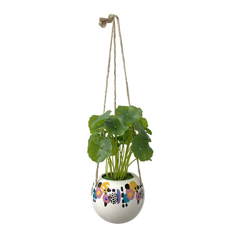 Floral Hanging Plant