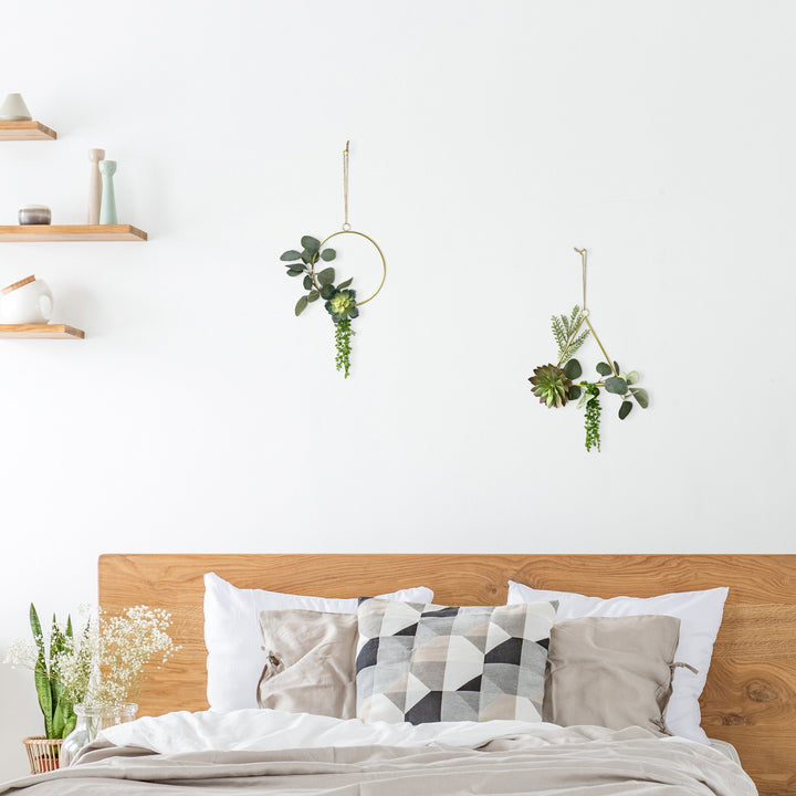 Circular Hanging Frame Succulent