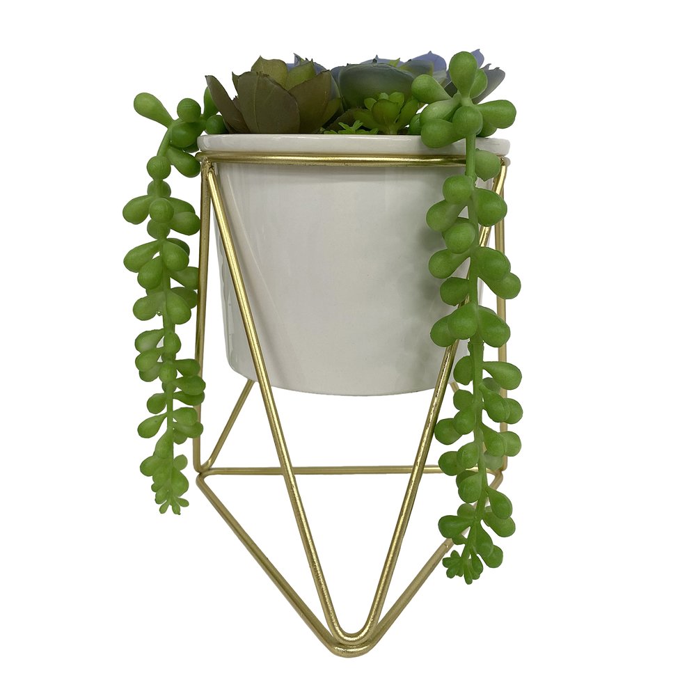 Succulent Pot with Gold Stand