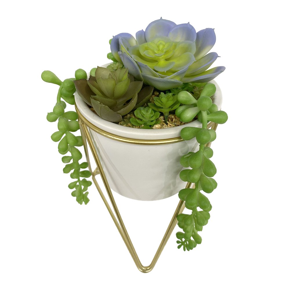 Succulent Pot with Gold Stand