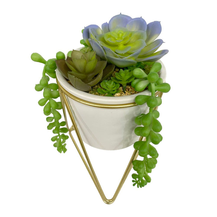 Succulent Pot with Gold Stand