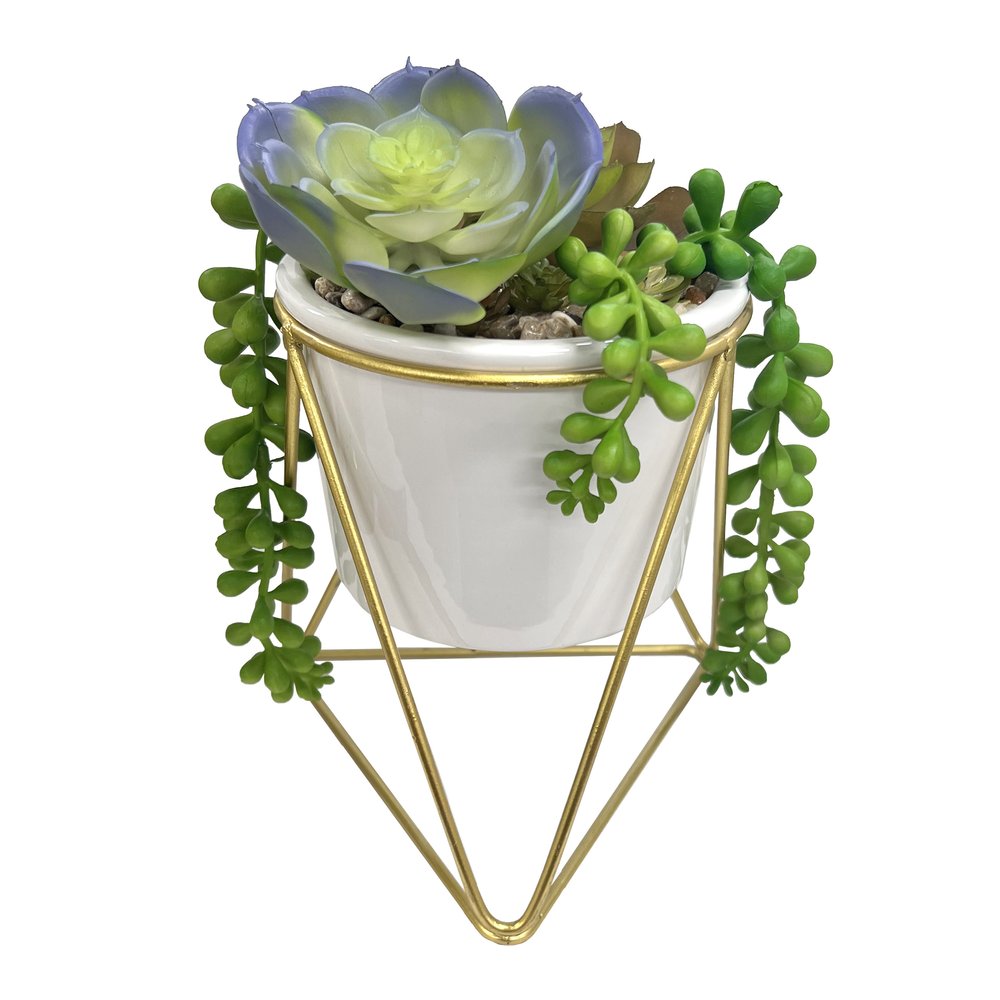 Succulent Pot with Gold Stand