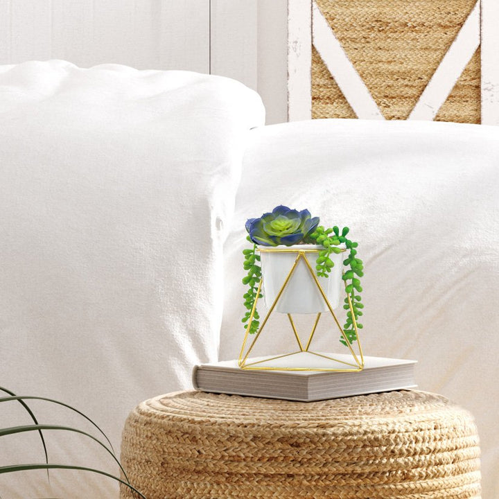 Succulent Pot with Gold Stand