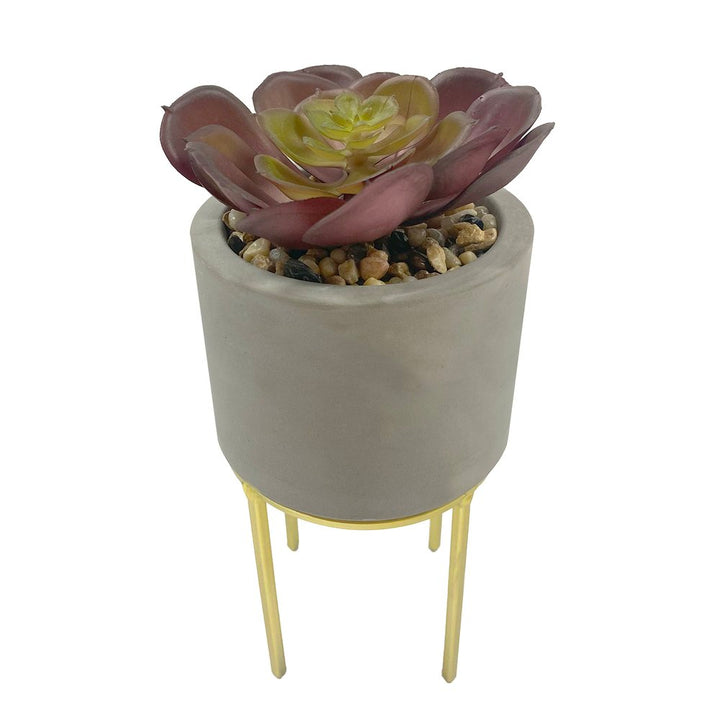 Stone Succulent Pot