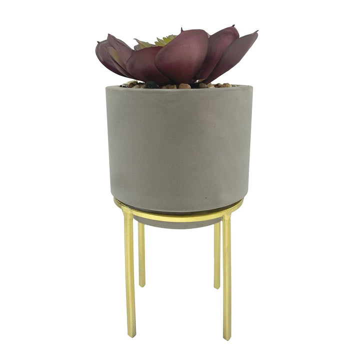 Stone Succulent Pot