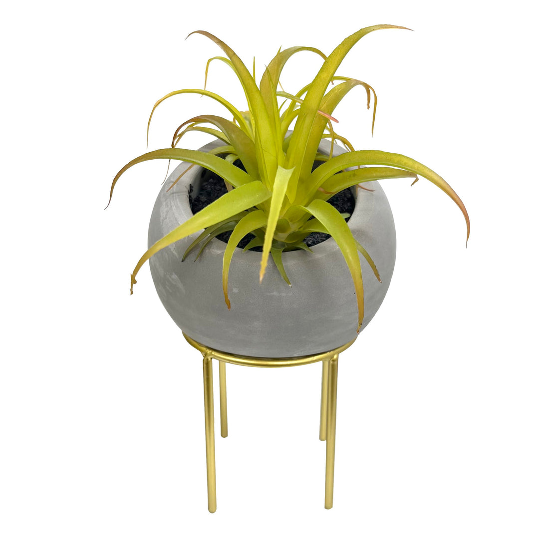 Stone Air Plant Pot