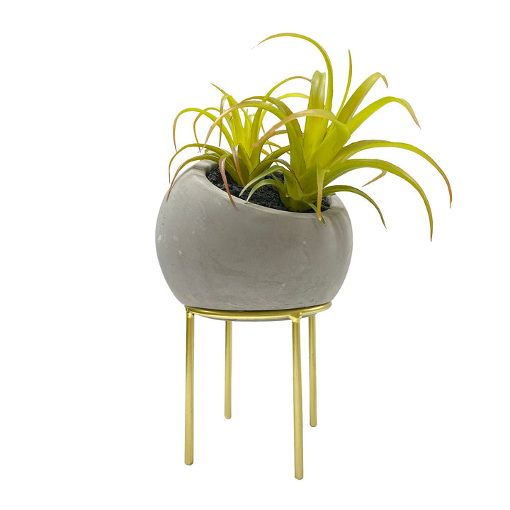 Stone Air Plant Pot