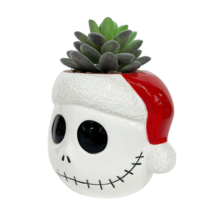 Tim Burton's Nightmare Before Christmas - Jack Holiday Succulent