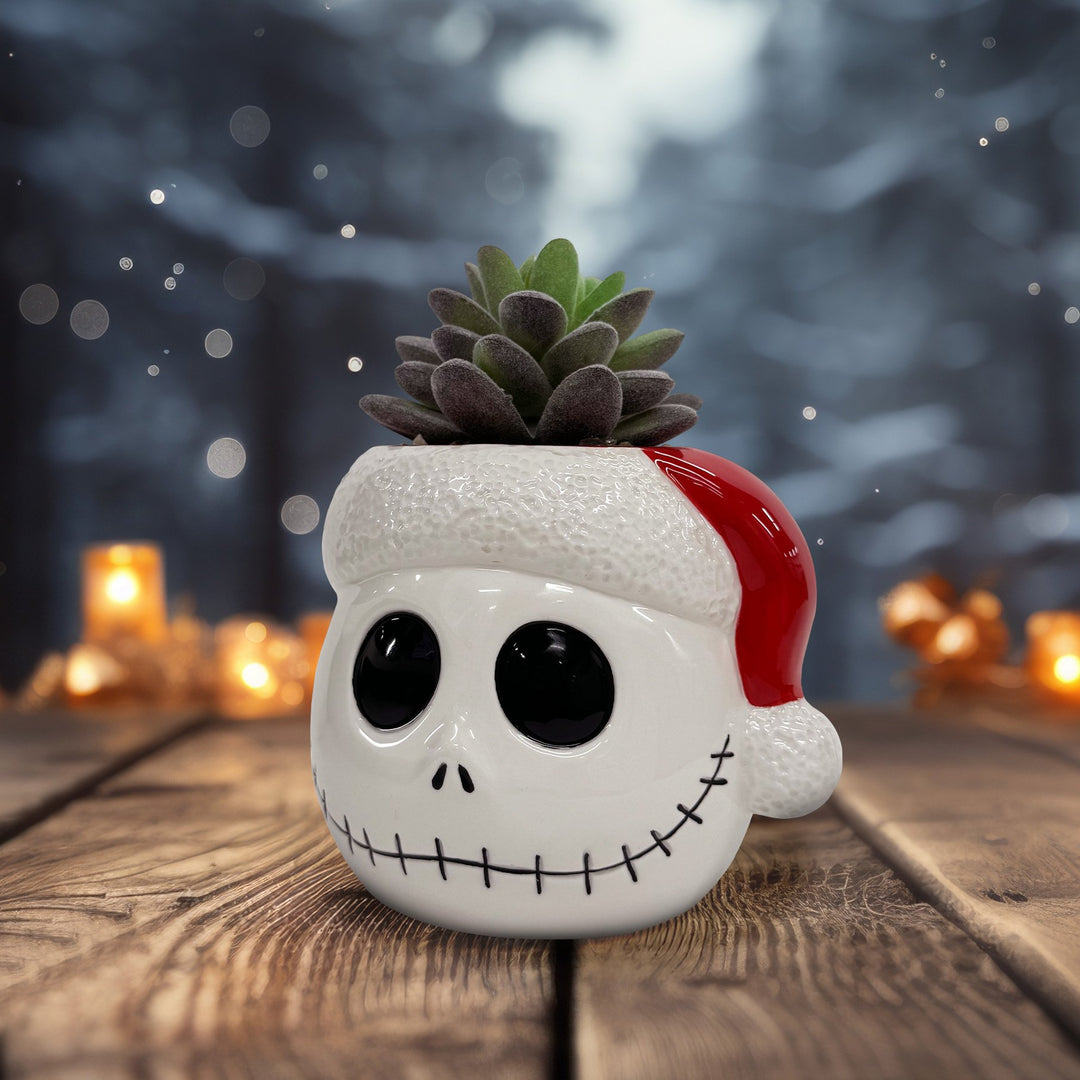 Tim Burton's Nightmare Before Christmas - Jack Holiday Succulent