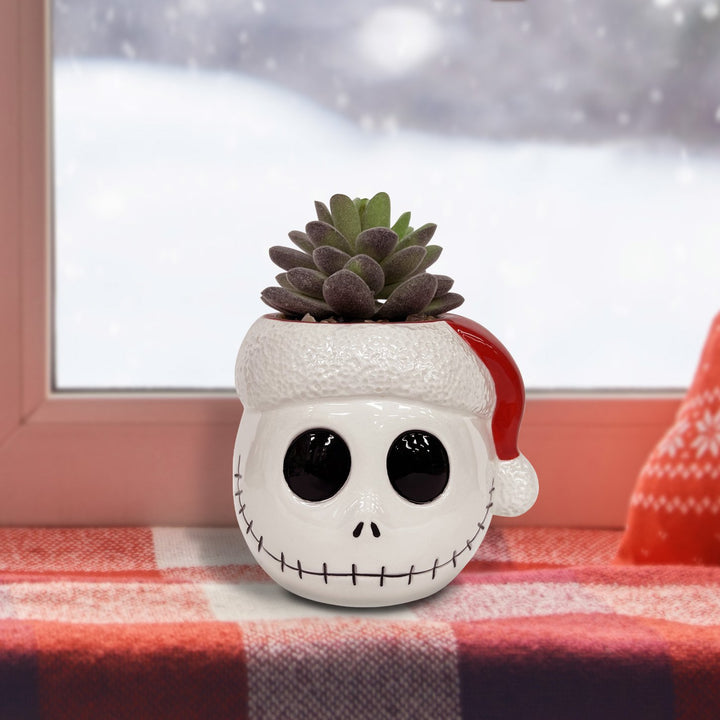 Tim Burton's Nightmare Before Christmas - Jack Holiday Succulent