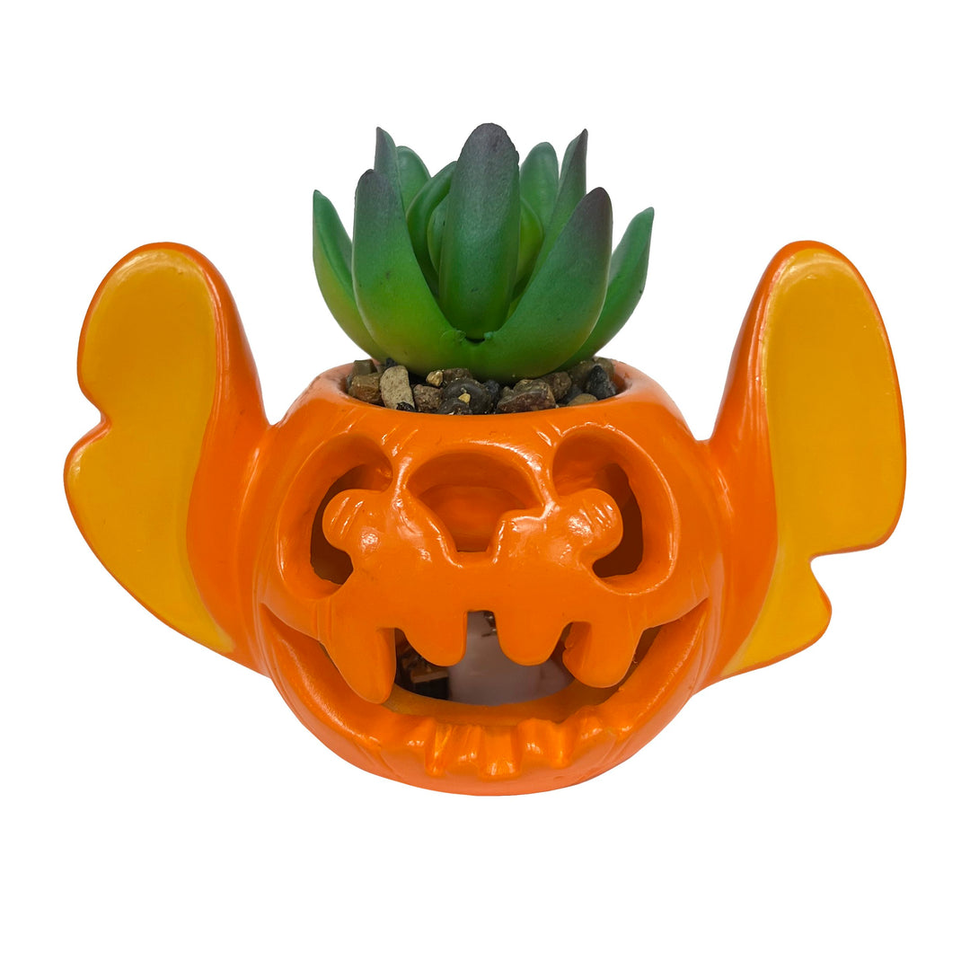 Stitch Light-Up Jack-O-Lantern Succulent