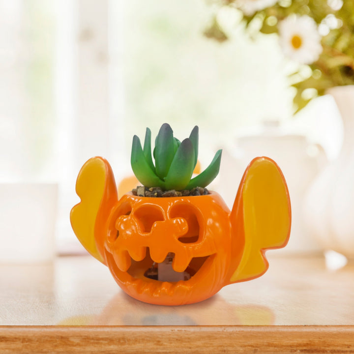 Stitch Light-Up Jack-O-Lantern Succulent