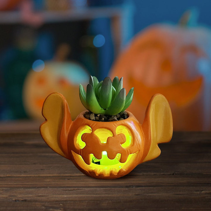 Stitch Light-Up Jack-O-Lantern Succulent
