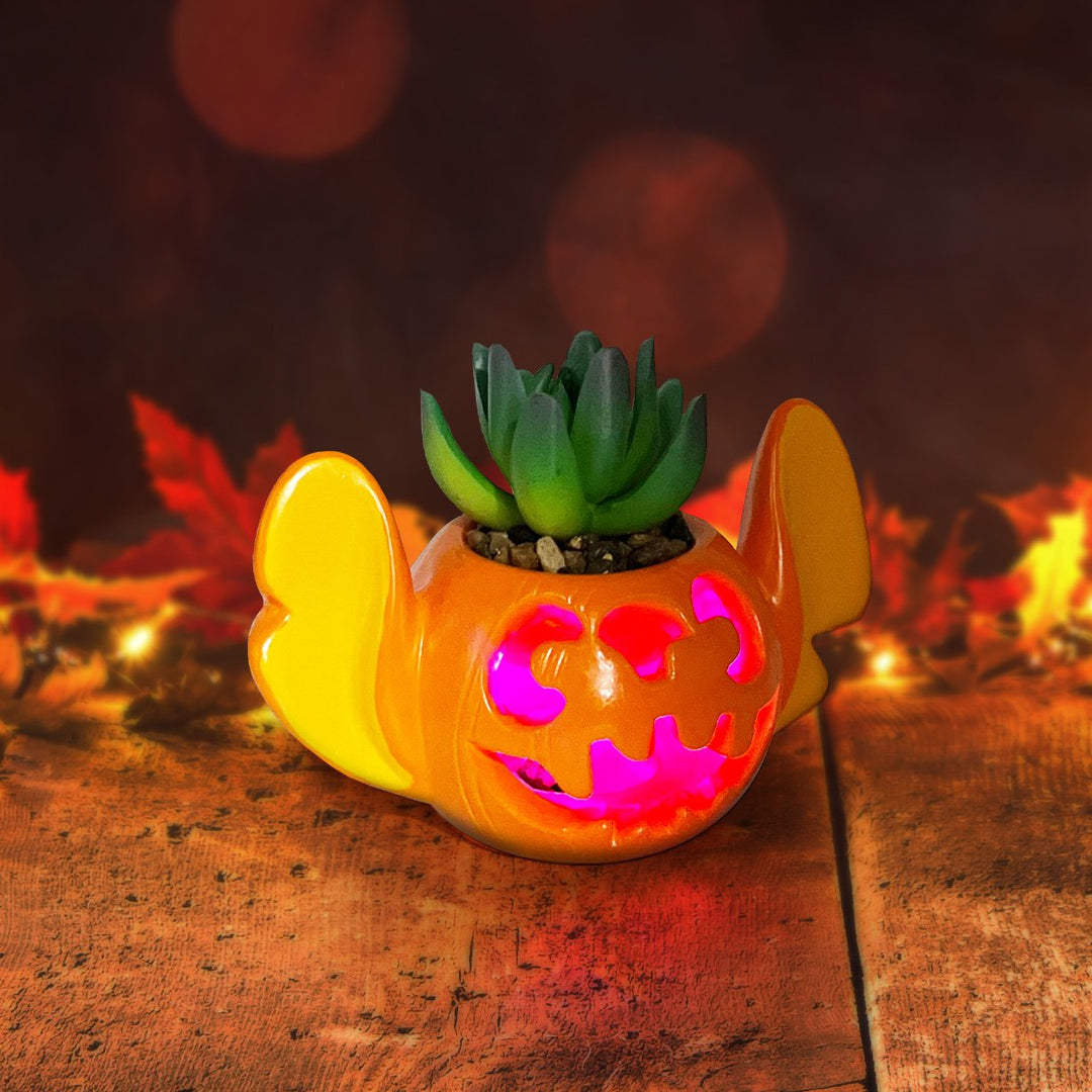 Stitch Light-Up Jack-O-Lantern Succulent
