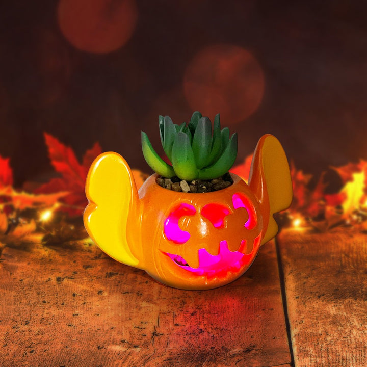 Stitch Light-Up Jack-O-Lantern Succulent