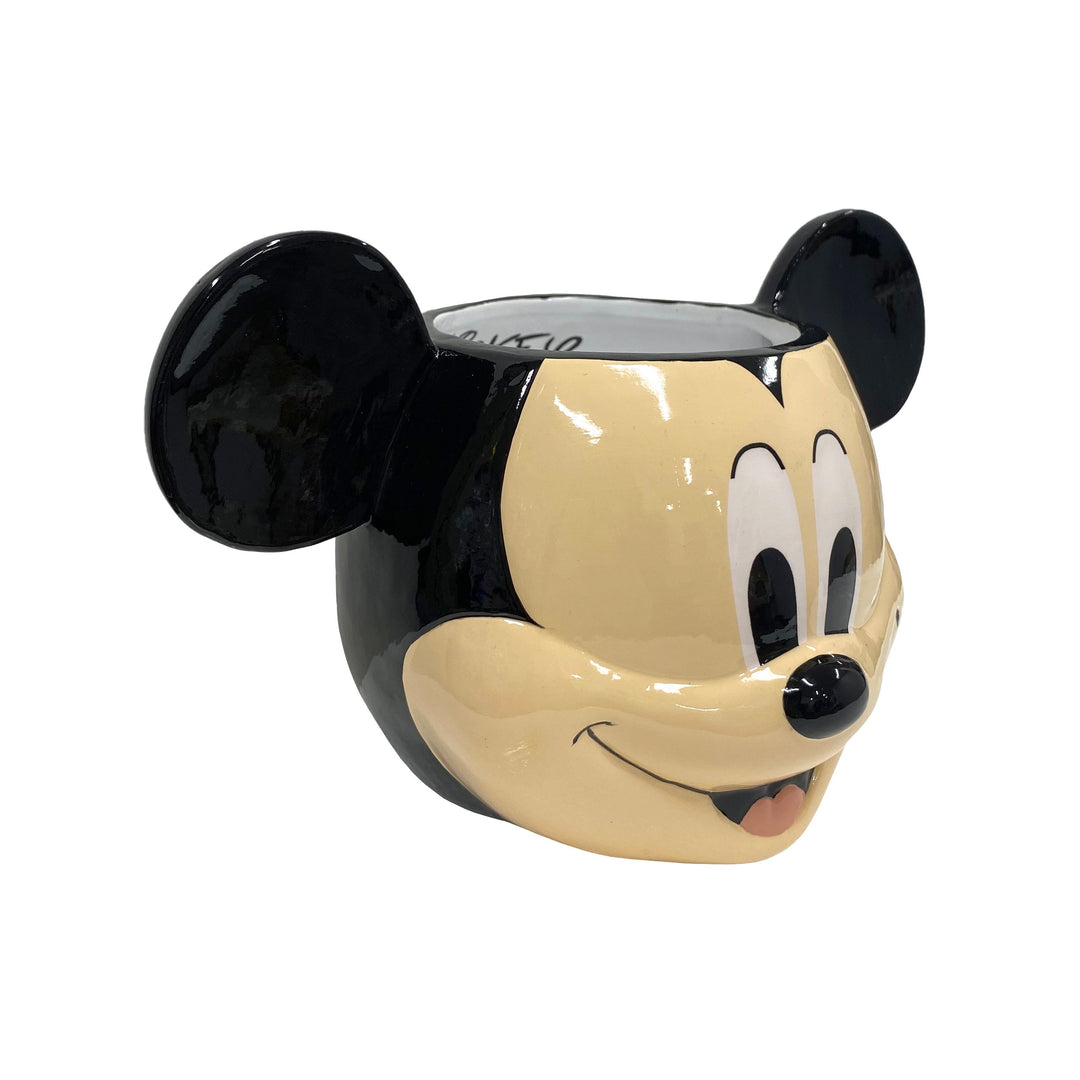Mickey Smile Planter Pot
