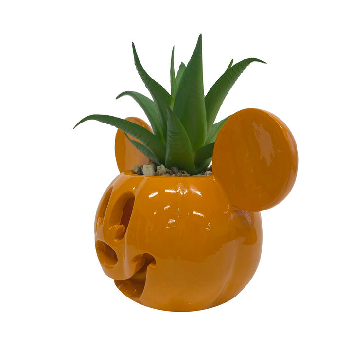 Mickey Light-Up Jack-O-Lantern Succulent