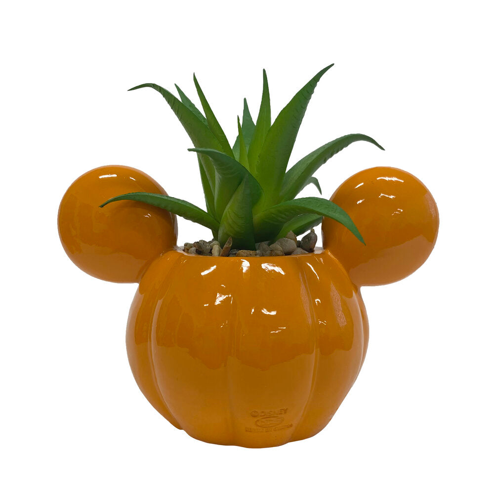 Mickey Light-Up Jack-O-Lantern Succulent