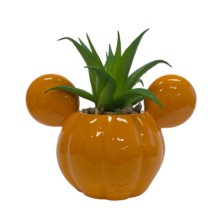 Mickey Light-Up Jack-O-Lantern Succulent