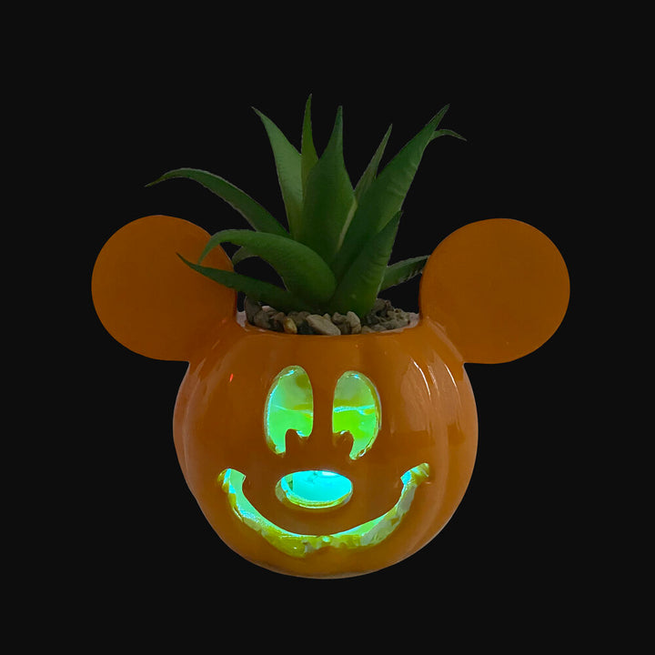 Mickey Light-Up Jack-O-Lantern Succulent
