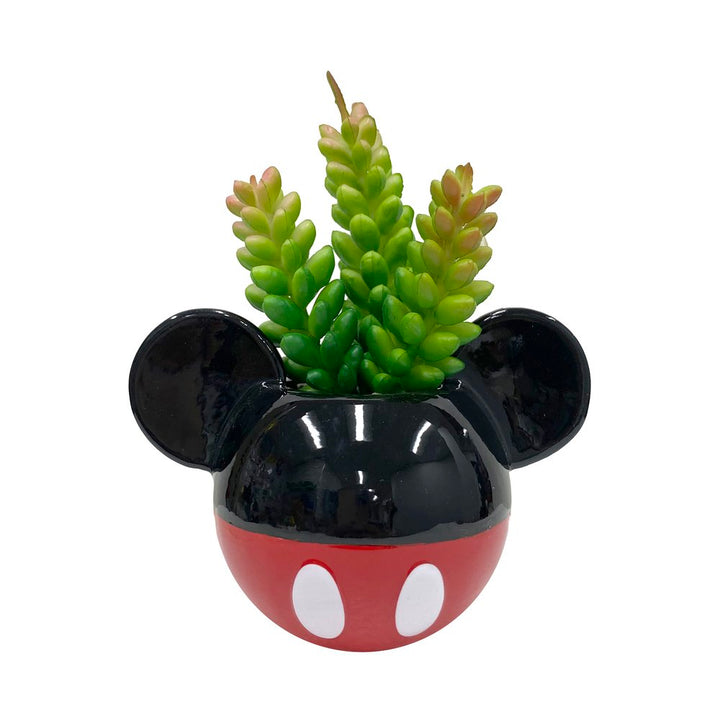 Mickey & Minnie Classic Succulent Set (2 Pieces Set)