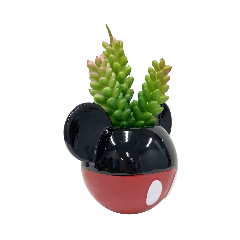 Mickey & Minnie Classic Succulent Set (2 Pieces Set)