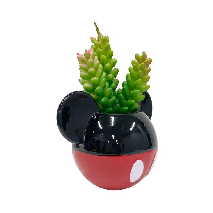 Mickey & Minnie Classic Succulent Set (2 Pieces Set)