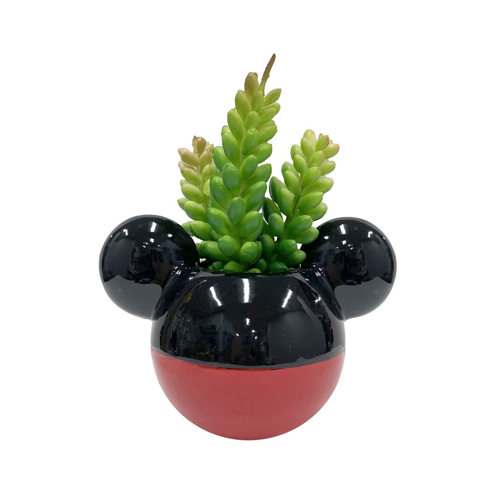 Mickey & Minnie Classic Succulent Set (2 Pieces Set)