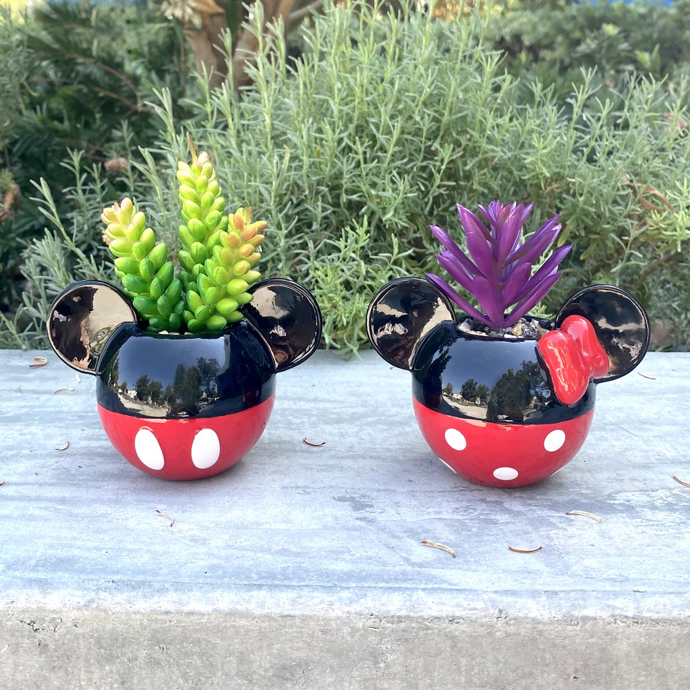 Mickey & Minnie Classic Succulent Set (2 Pieces Set)