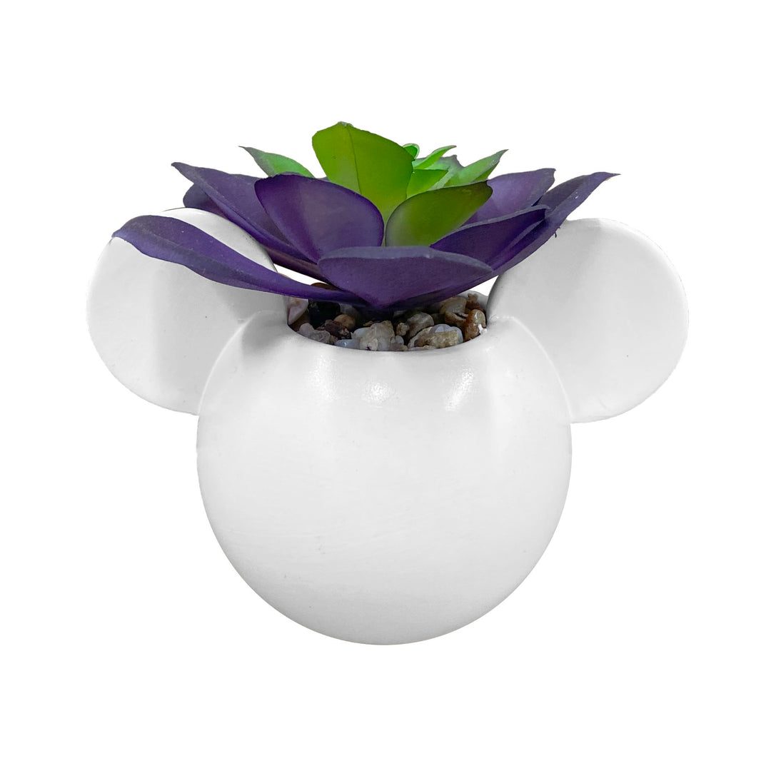 Mickey & Minnie Icon Succulent Set (2 Pieces Set)