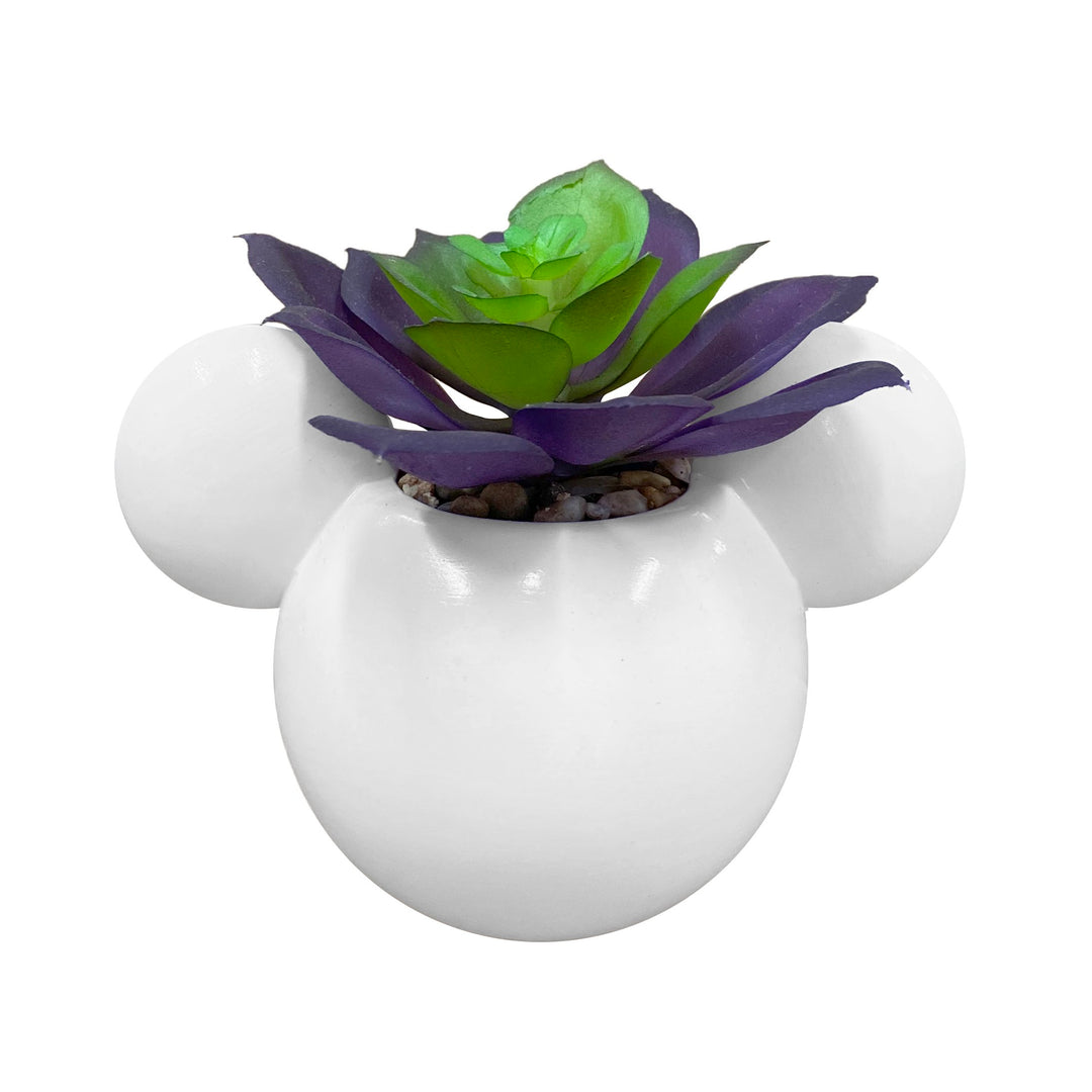 Mickey & Minnie Icon Succulent Set (2 Pieces Set)