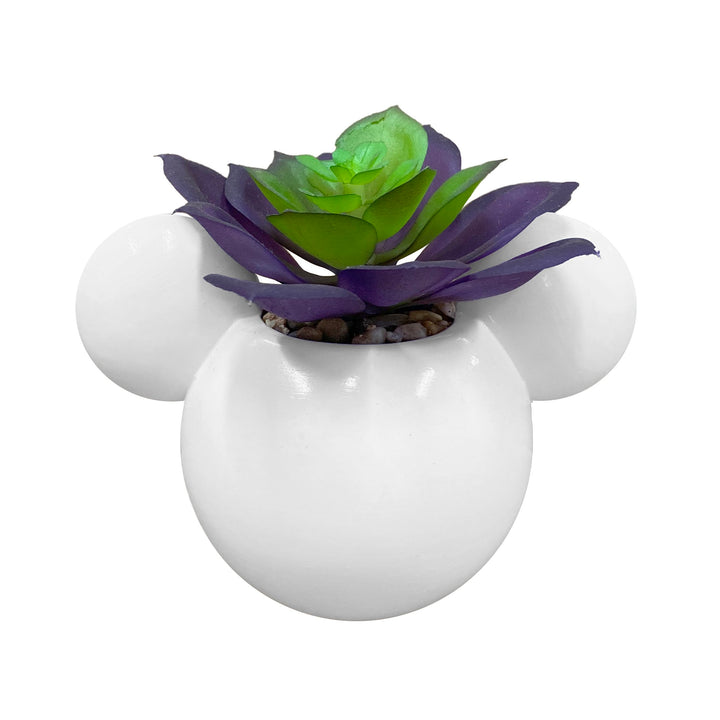 Mickey & Minnie Icon Succulent Set (2 Pieces Set)