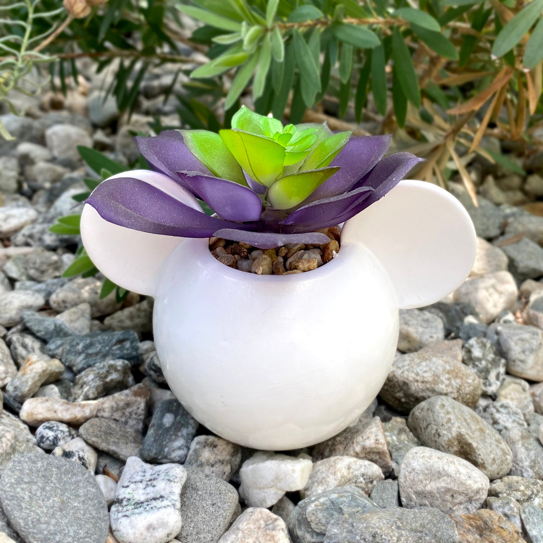 Mickey & Minnie Icon Succulent Set (2 Pieces Set)