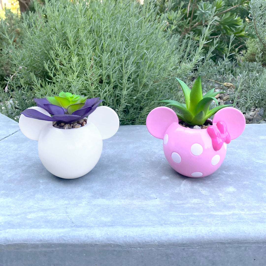 Mickey & Minnie Icon Succulent Set (2 Pieces Set)