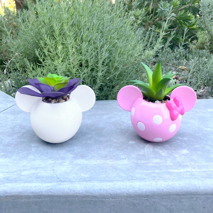Mickey & Minnie Icon Succulent Set (2 Pieces Set)
