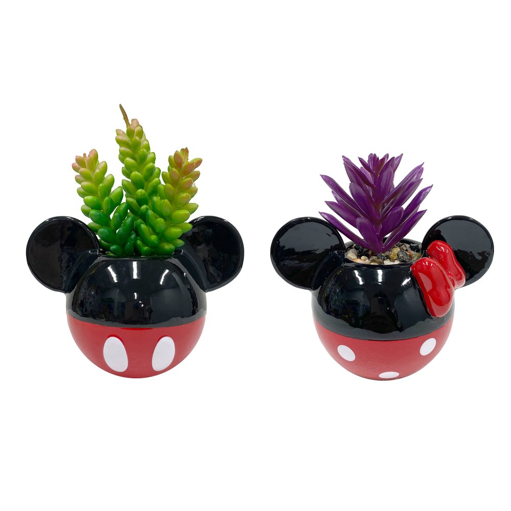 Mickey & Minnie Classic Succulent Set (2 Pieces Set)