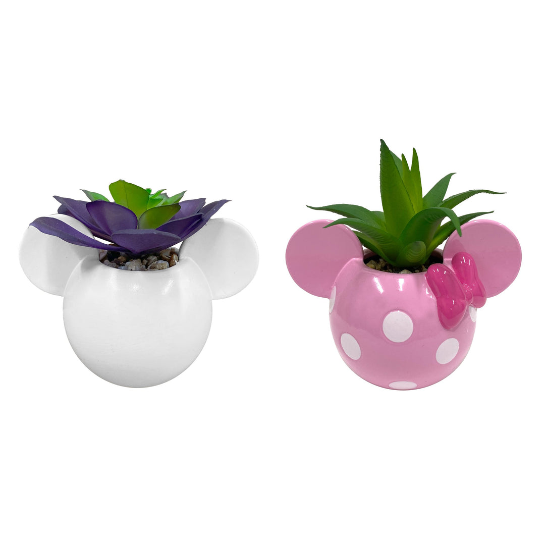 Mickey & Minnie Icon Succulent Set (2 Pieces Set)