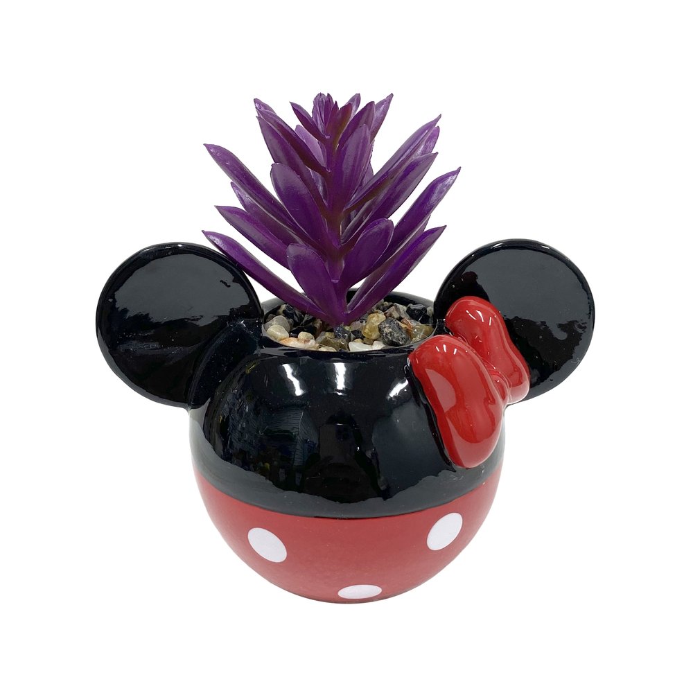 Mickey & Minnie Classic Succulent Set (2 Pieces Set)