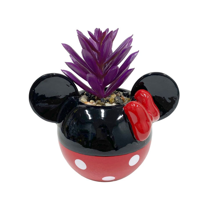 Mickey & Minnie Classic Succulent Set (2 Pieces Set)