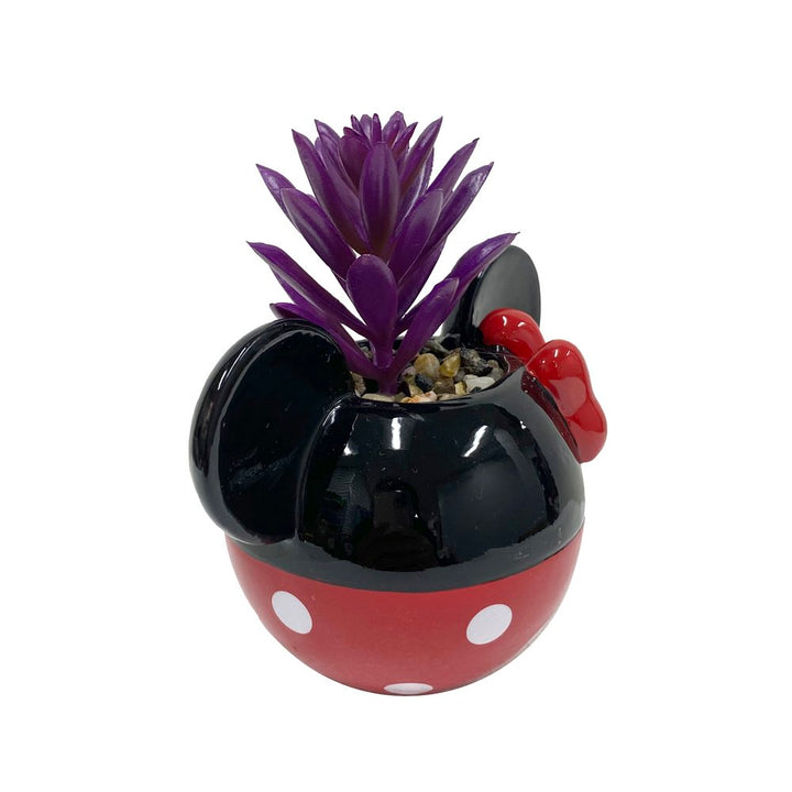 Mickey & Minnie Classic Succulent Set (2 Pieces Set)