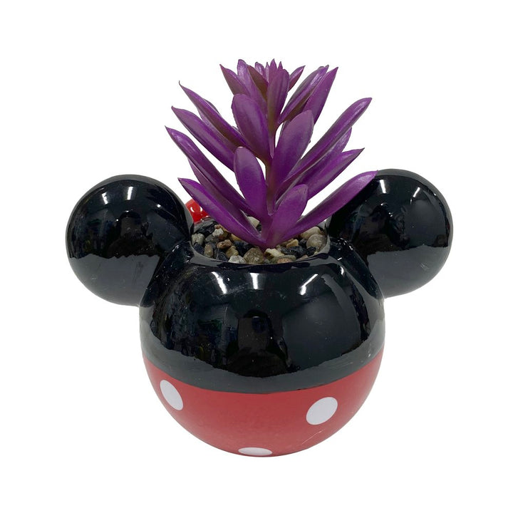 Mickey & Minnie Classic Succulent Set (2 Pieces Set)