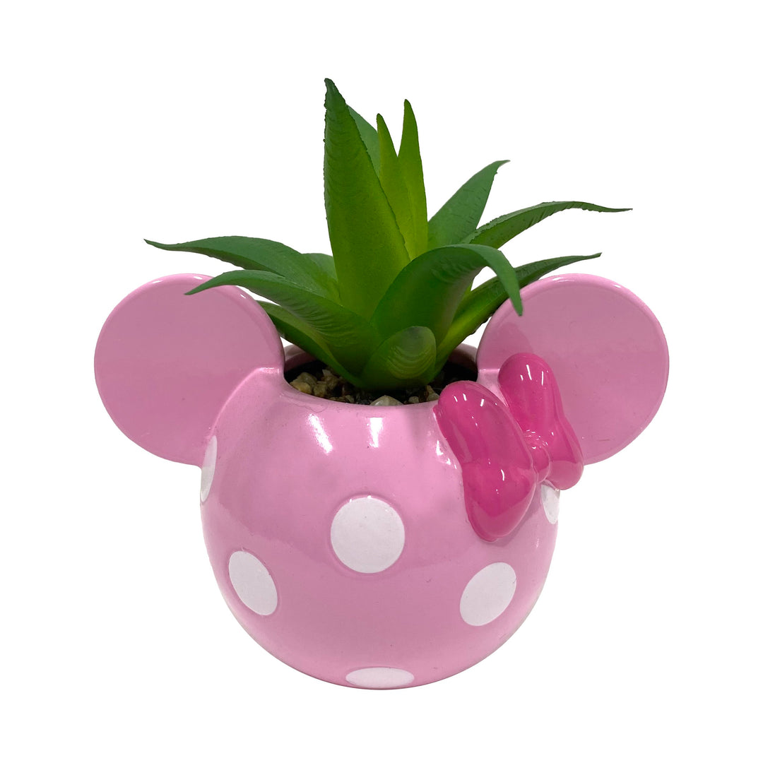 Mickey & Minnie Icon Succulent Set (2 Pieces Set)
