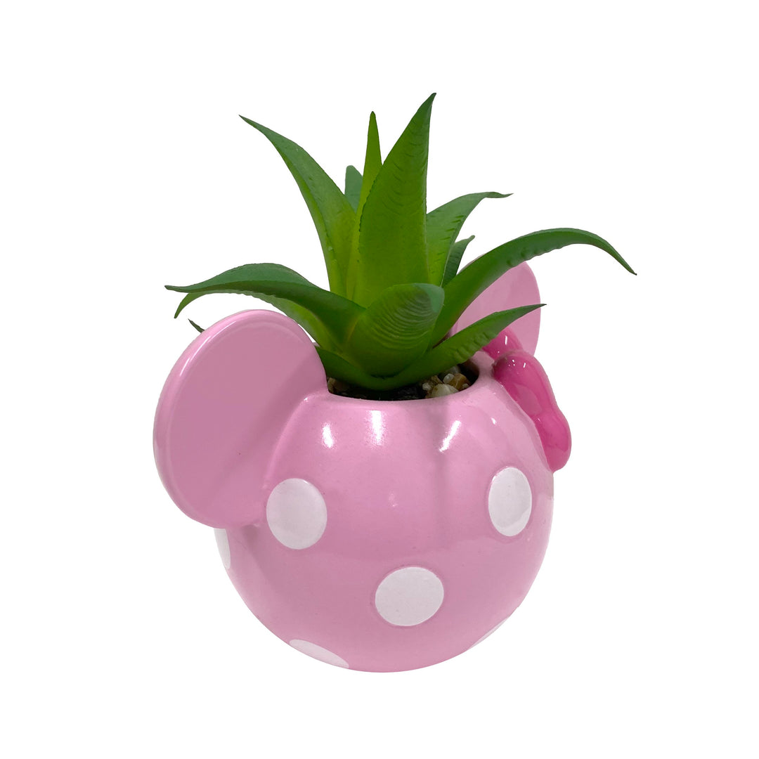 Mickey & Minnie Icon Succulent Set (2 Pieces Set)