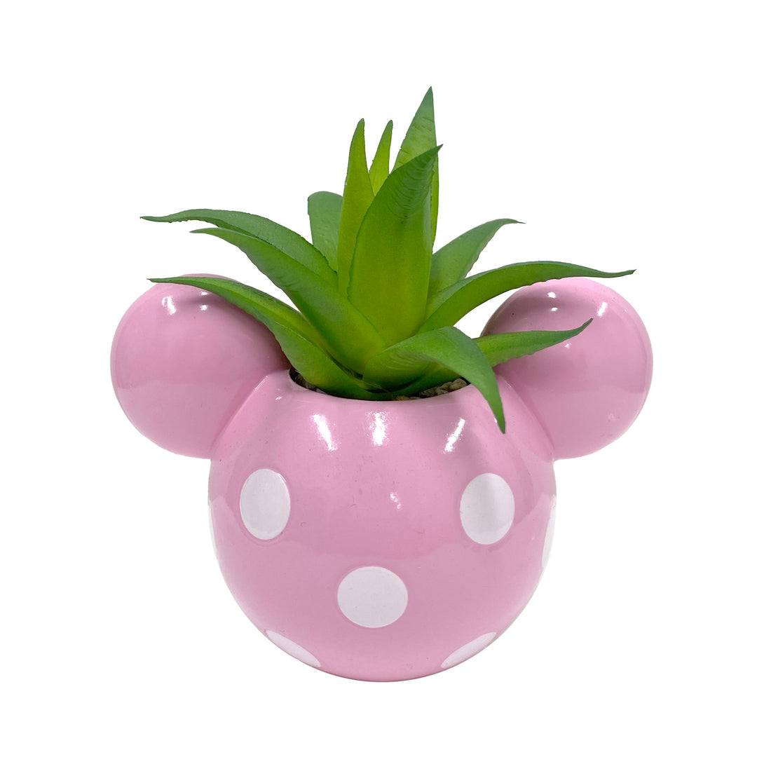 Mickey & Minnie Icon Succulent Set (2 Pieces Set)