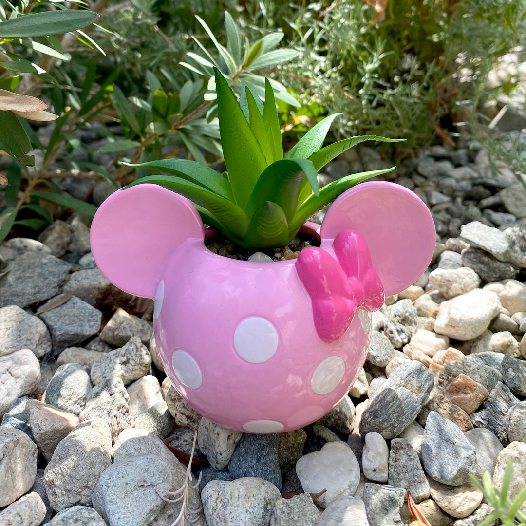 Mickey & Minnie Icon Succulent Set (2 Pieces Set)
