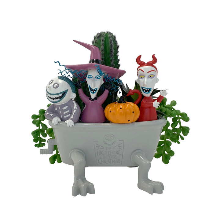 Tim Burton's The Nightmare Before Christmas Barrel, Shock & Lock Succulent