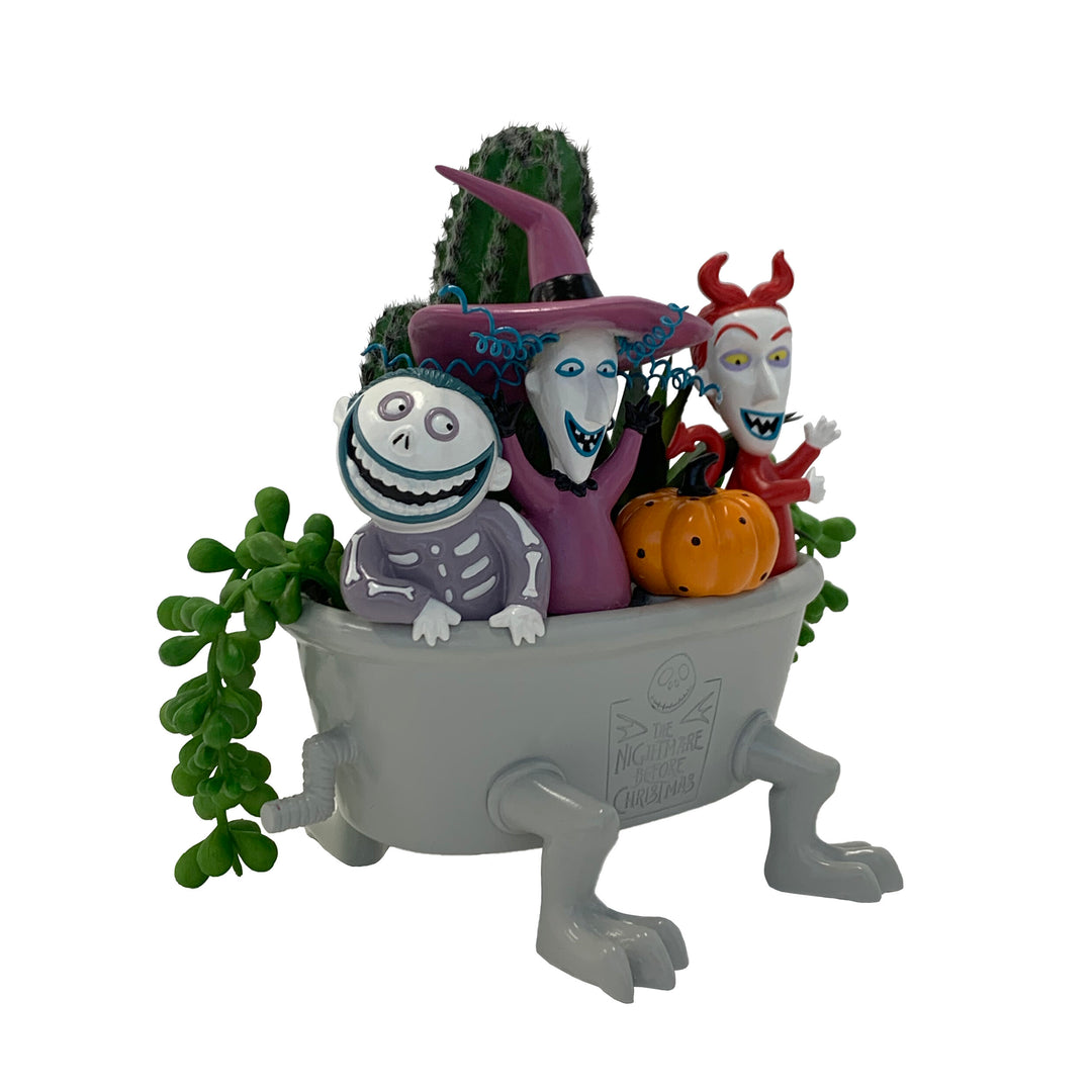 Tim Burton's The Nightmare Before Christmas Barrel, Shock & Lock Succulent